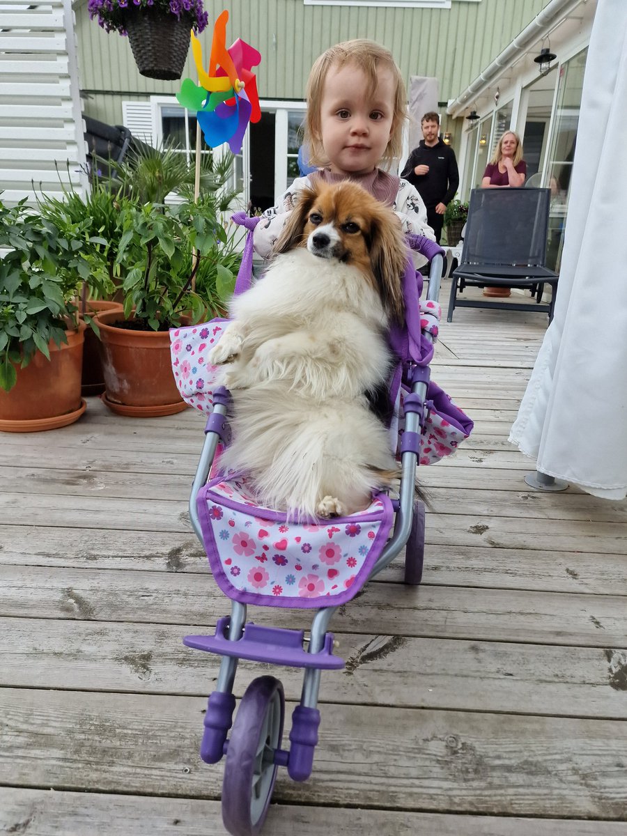 Kevin Persson tweet media