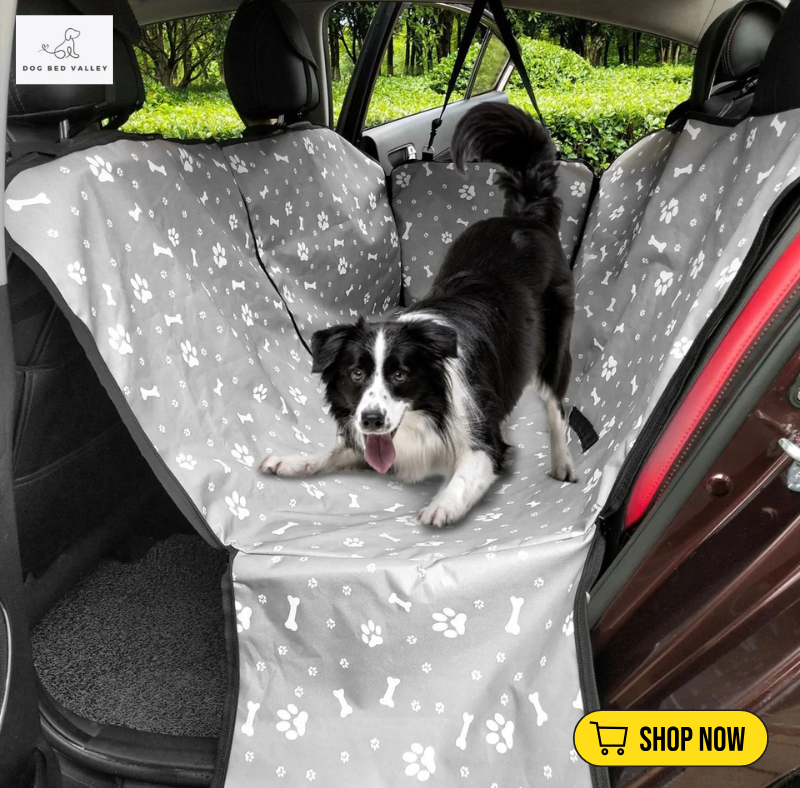 dogbedvalley's tweet photo. 🚗🐾 Ready for Adventure? Keep Your Pup Cozy &amp; Your Car Clean! Share your funniest travel story with your pet! 🐕❤️

👉 Shop Now: https://t.co/sNNYRMVrsC https://t.co/7xWUQLxsmG