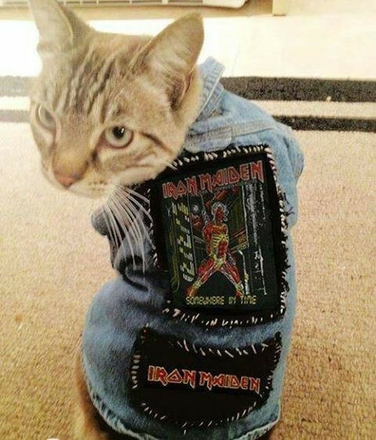 Legionista83's tweet photo. Iron Maiden 
UP THE IRONS 🤘 https://t.co/kK9y2fWj84
