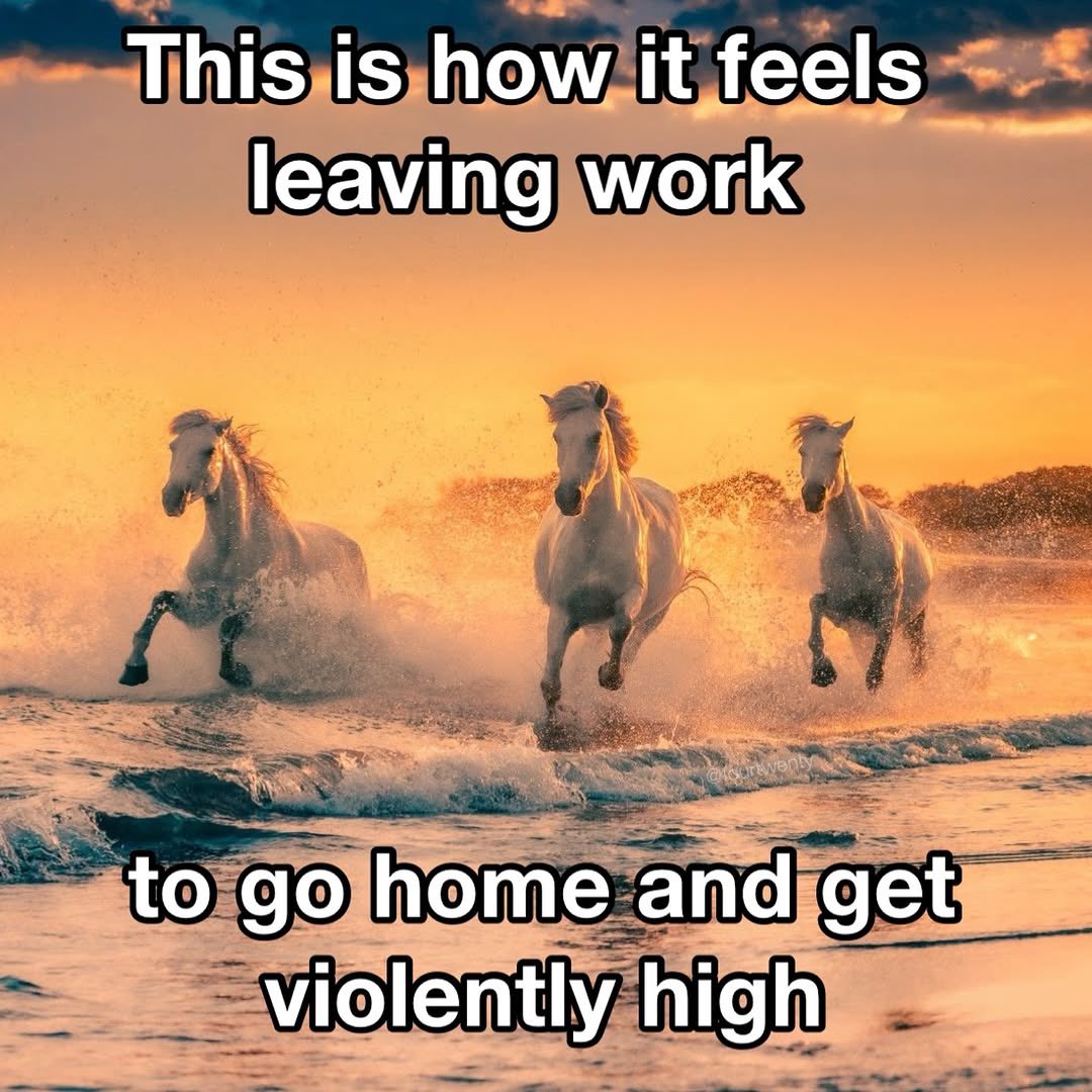 stonersvilla's tweet photo. https://t.co/54gdQ0alRQ