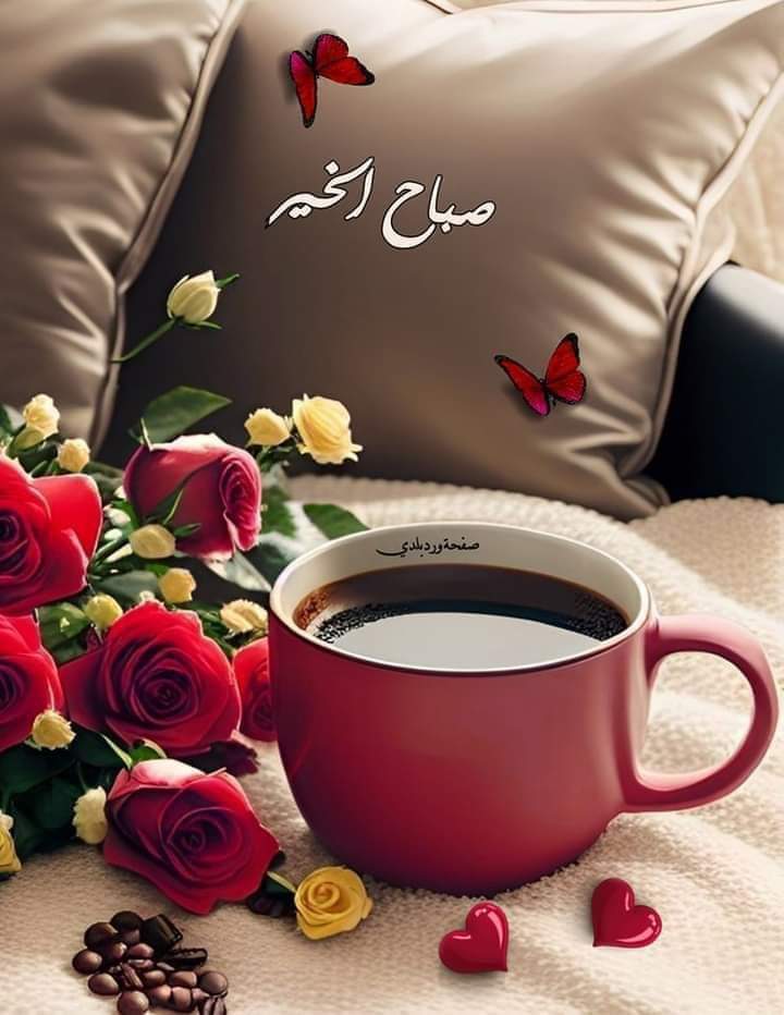 Ahmadwe87 (@ahmadwe87) on Twitter photo 