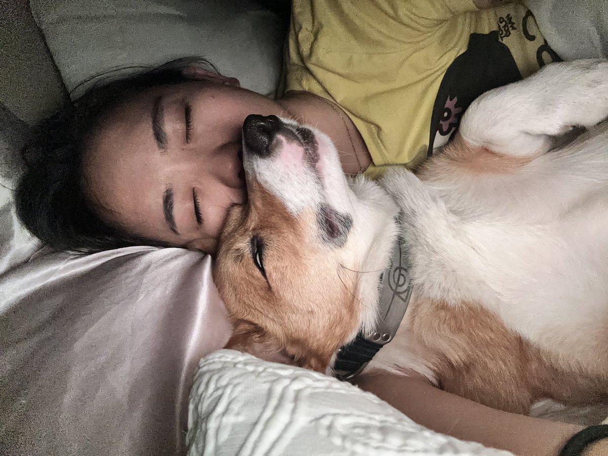 🍖 Harriet Sugarcookie 🍖 tweet media