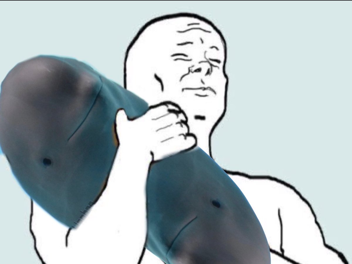 HANBAO INTERN tweet media