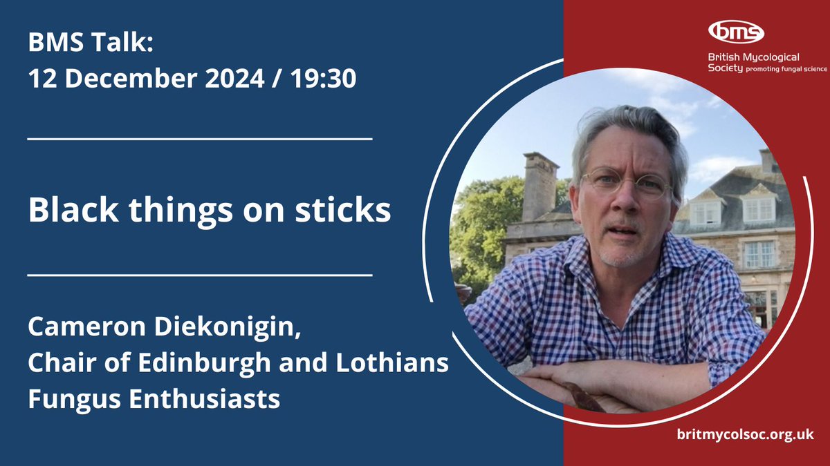 Reminder to book your ticket for our next BMS Talk: Black things on sticks, with Cameron Diekonigin. Taking place in just over 2 weeks, 12 December, online at 19:30:
britmycolsoc.org.uk