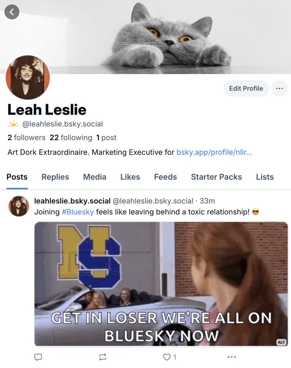 sweetvisage's tweet photo. Not that I've ever used #Twitter/#X much, but you can now find me over here on #Bluesky very much jumping on the bandwagon🤸: https://t.co/AO8u81LeKC https://t.co/TjHmVWabUt