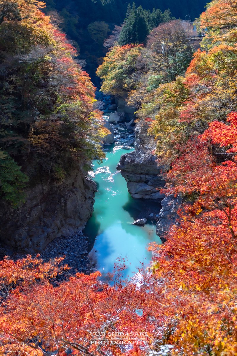 秩父にある金蔵落としの渓流と紅葉