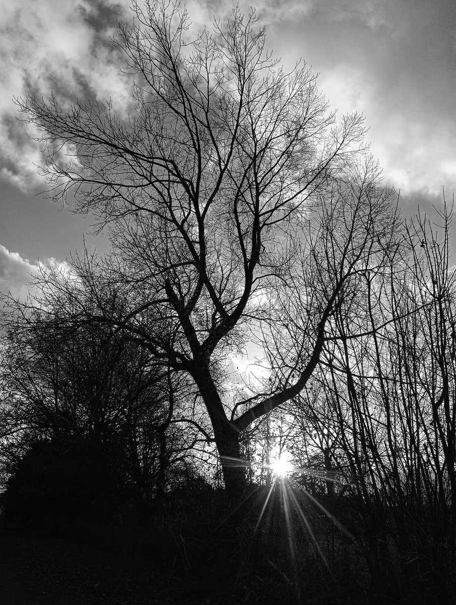 Winter Dusk : Nov 2024