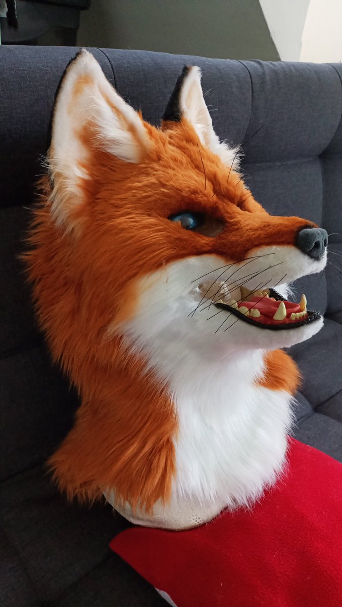 Kaildrein's tweet photo. Fox head, one of our customers' favorites
#furmaker #comission #foxhead #fursuit #furryart #furryartist #furryartwork #furries #furri #Realistic https://t.co/UoxgNzla0x