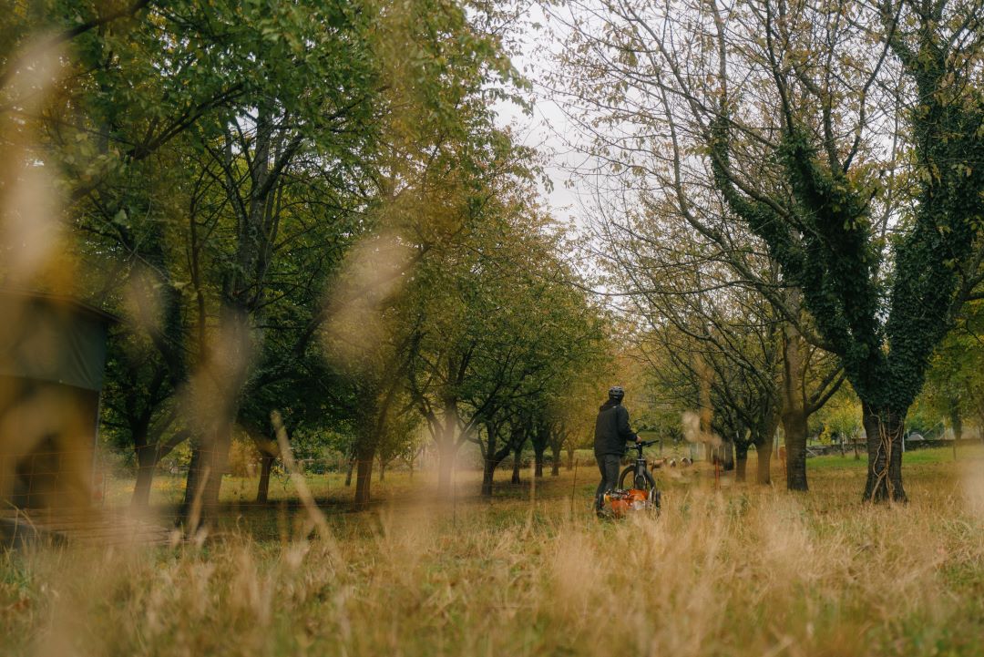 Who said fall chores had to be a drag? 🍂 Let Burley be your trusty sidekick for effortless outdoor clean-ups!