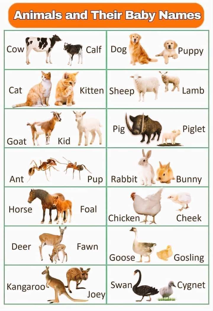 PharmTooGood's tweet photo. THANK ME LATER
AND PLEASE STOP COMMITTING BLUNDER WHEN ADDRESSING PEOPLE PUBLICLY π₯Ή
PEACE βοΈ
Amorim / Pinocoin / Liverpool / FINAL EP U STEAL MY HEART / Davido / Seyi Tinubu / Kendrick / Ojukwu / Igbos / Biafra
#MondayMotivation #AndroidTheftProtection
#JACKANDJOKERFINALEP https://t.co/qEXpxN7bWq