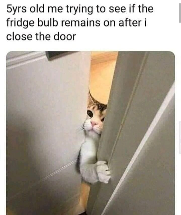 laibayyyyyyyyyy's tweet image. Ye bhi tha yawr 😂😭

#funnymeme
#comedy
#funnycontent