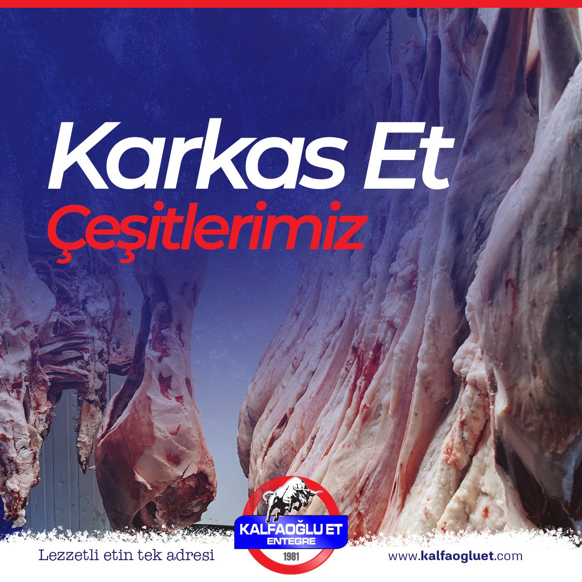 kalfaogluet's tweet photo. 🐂 Taze Karkas Et Çeşitlerimizle Tanışın! 🥩

Lezzetli ve kaliteli etin tek adresi Kalfaoglu Et Entegre, 1981’den bu yana sofralarınıza en taze karkas et çeşitlerini ulaştırıyor! 🔥
Lezzetin ve kalitenin adresi: Kalfaoglu Et Entegre! https://t.co/p6Bj3EkvcT