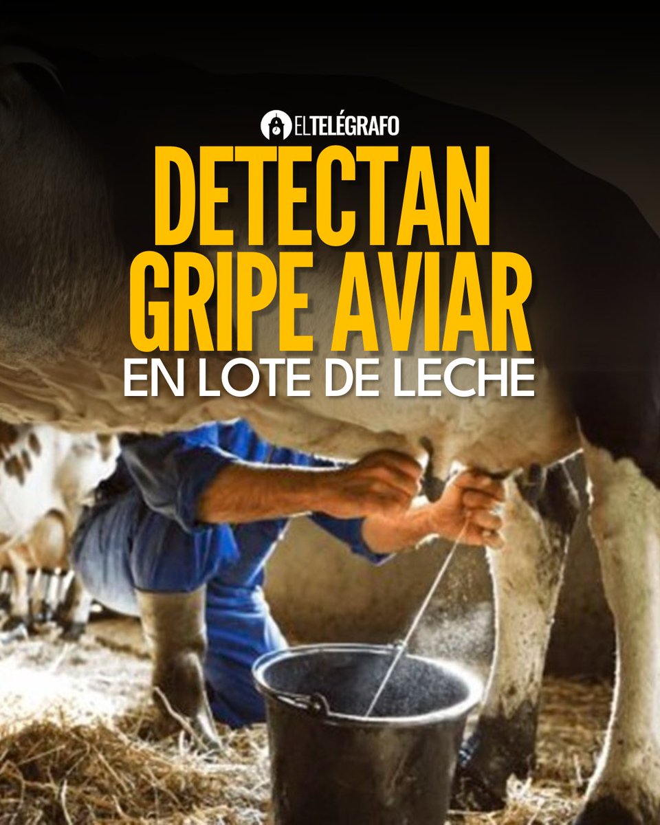 EcuadorTV's tweet photo. #VIRAL | Las alarmas se encienden al detectar gripe aviar en un lote de leche. #LéaloEnET: https://t.co/GwqSL8jOr4 https://t.co/6eWbkGQyzo