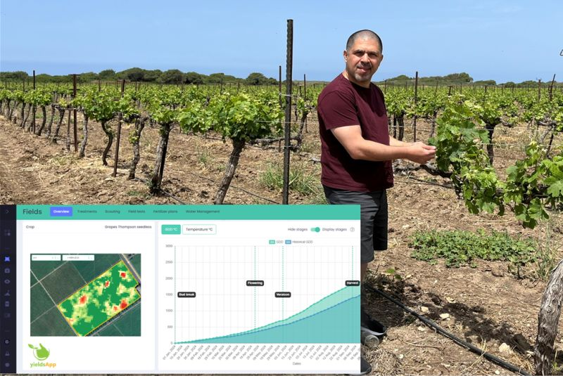 yieldsApp tweet media