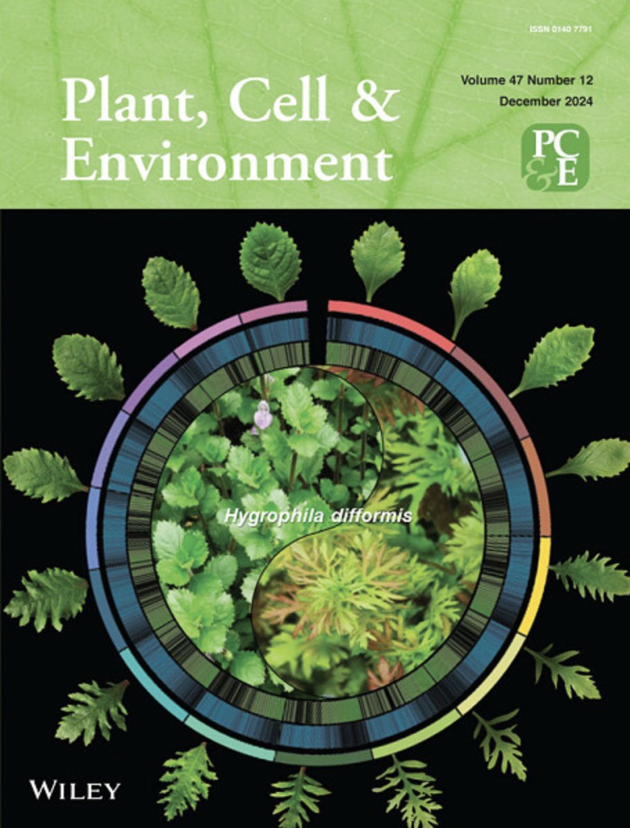 Torii Lab (@stomata_tweets) on Twitter photo Congratulations, Hongwei Hou & the team for this beautiful story of the genomic basis of environmental adaptation of an amphibious plant, Hygrophila difformis, and for the beautiful cover <a href="/PlantCellEnvir/">Plant Cell & Environment</a>
onlinelibrary.wiley.com/doi/abs/10.111… Congratulations, Hongwei Hou & the team for this beautiful story of the genomic basis of environmental adaptation of an amphibious plant, Hygrophila difformis, and for the beautiful cover <a href="/PlantCellEnvir/">Plant Cell & Environment</a>
onlinelibrary.wiley.com/doi/abs/10.111…