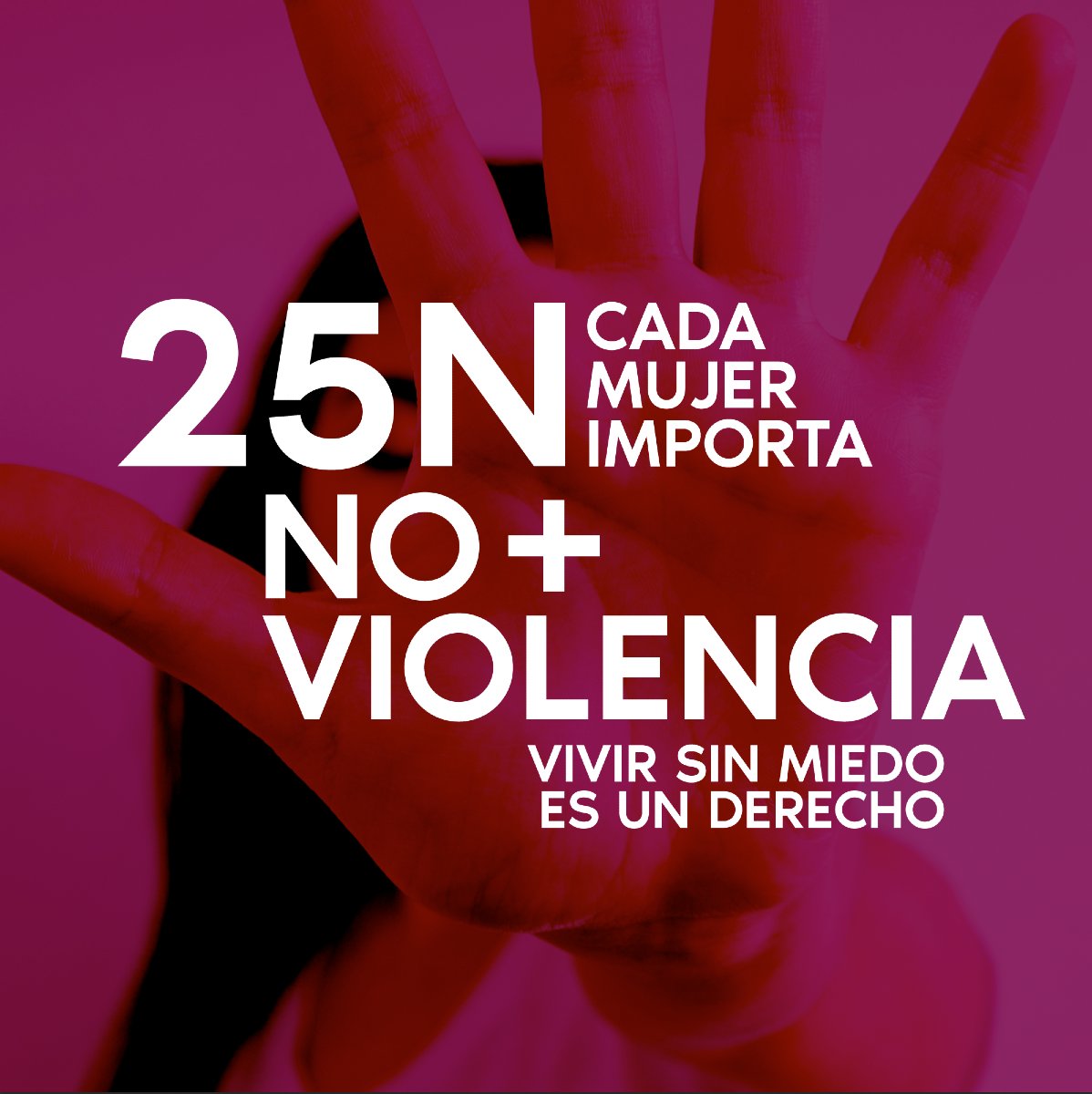 Xenox Producciones tweet media