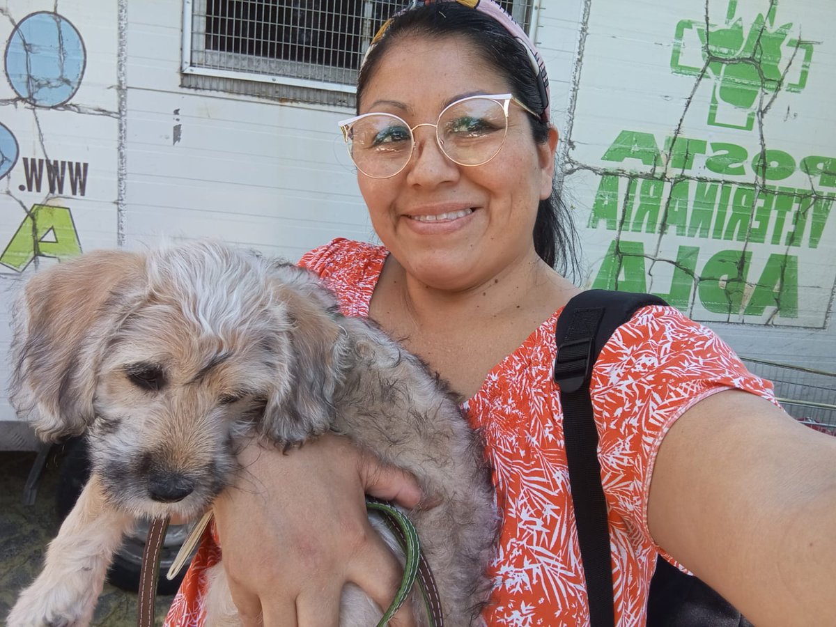 Les contamos qué chocolo, hoy fue descocado, ahora esta listo para encontrar una linda familia, interesados con carito +56 9 6697 1617