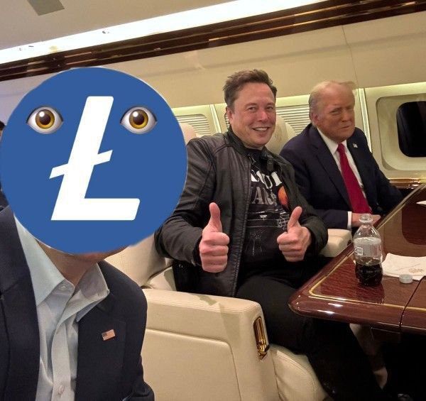 $LESTER - Litecoin Mascot tweet media
