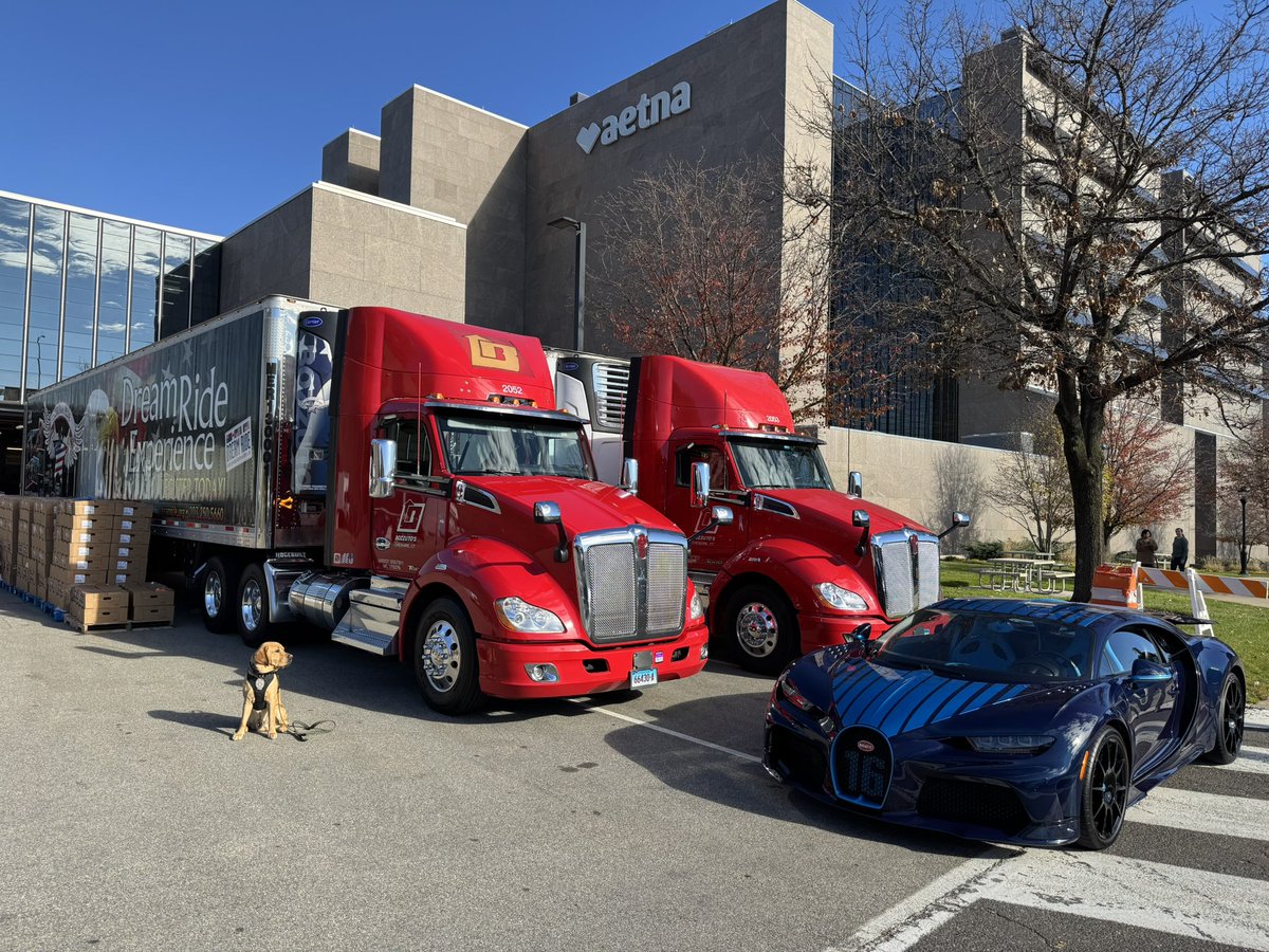 VTM_TheKing_4 tweet media