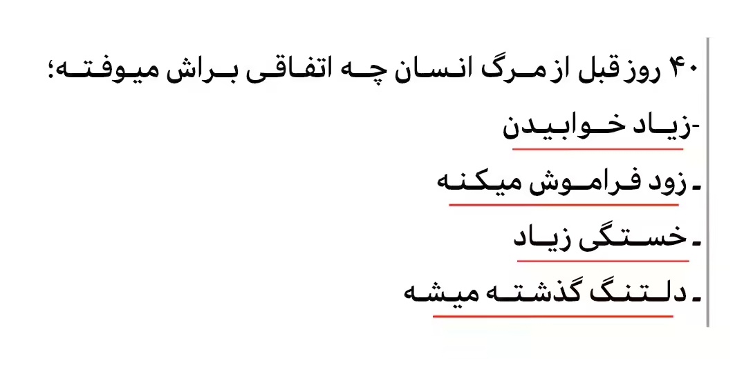 مینی رِظا tweet media