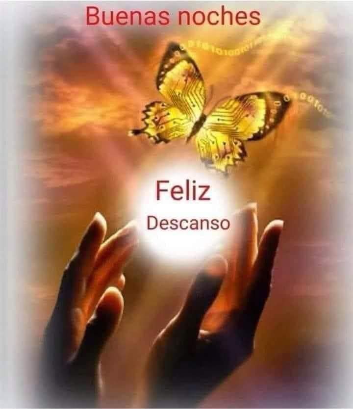 MartaLoto tweet media