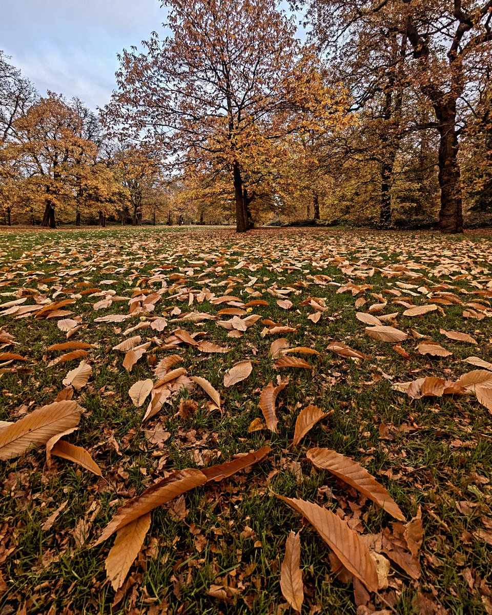 Doug Oliver tweet media