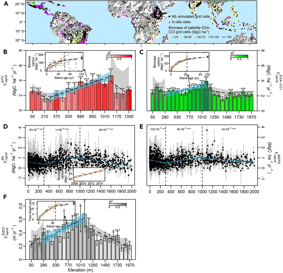 Emilio Vilanova 🌳 tweet media