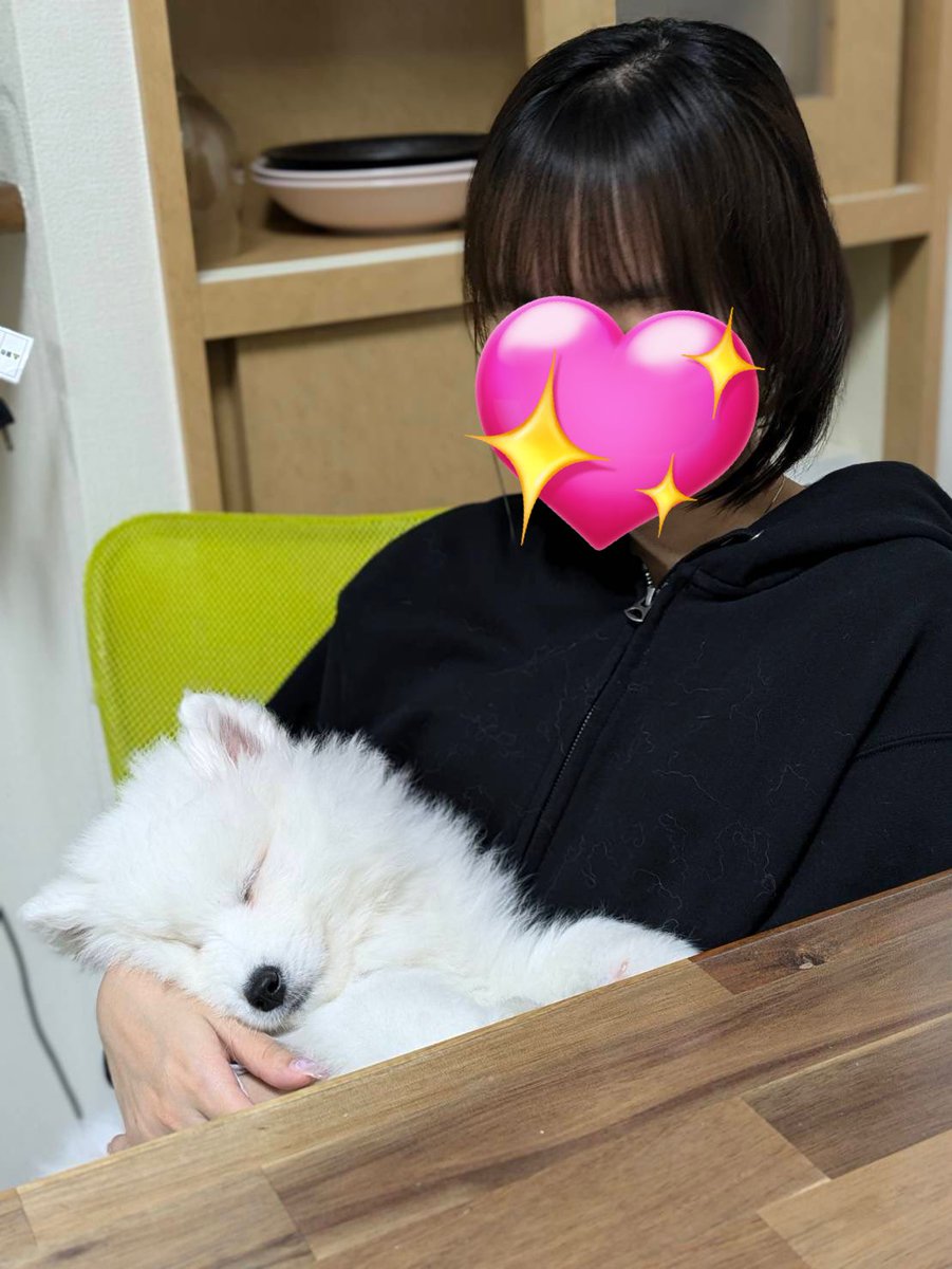 sadaharu__0905's tweet photo. おはさだはる!
昨日の腕の中で寝るさだはるをどうぞ🙌
#サモエド #samoyd #パピー犬 #かわいい #もふもふ猛虎会 #いいね返し #フォロー返し #犬好きな人と繋がりたい https://t.co/0nouaHokzB