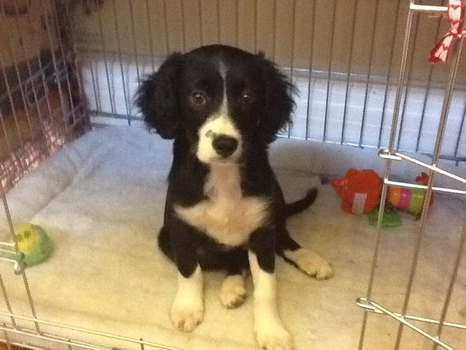 Patrick Chance 💙 🇫🇷 🇬🇧 tweet media