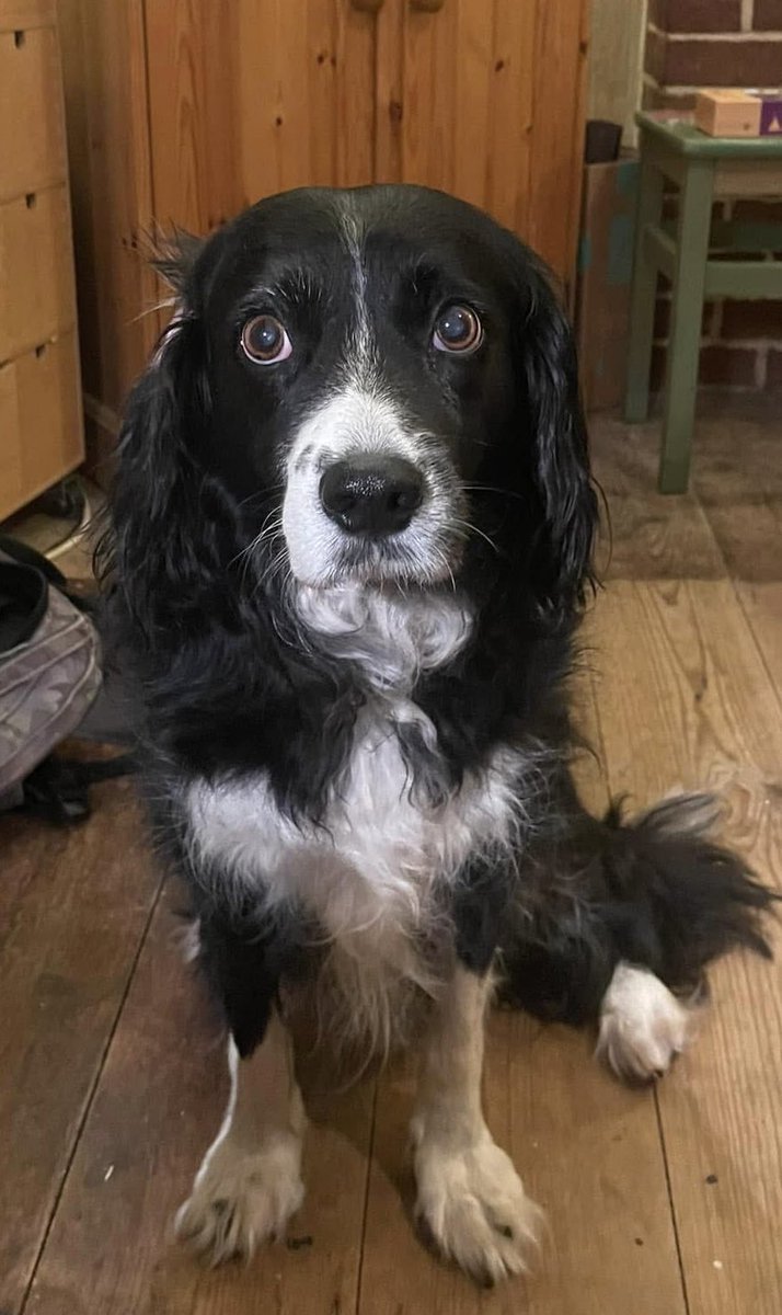 Patrick Chance 💙 🇫🇷 🇬🇧 tweet media