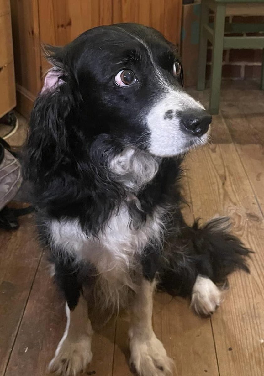 Patrick Chance 💙 🇫🇷 🇬🇧 tweet media