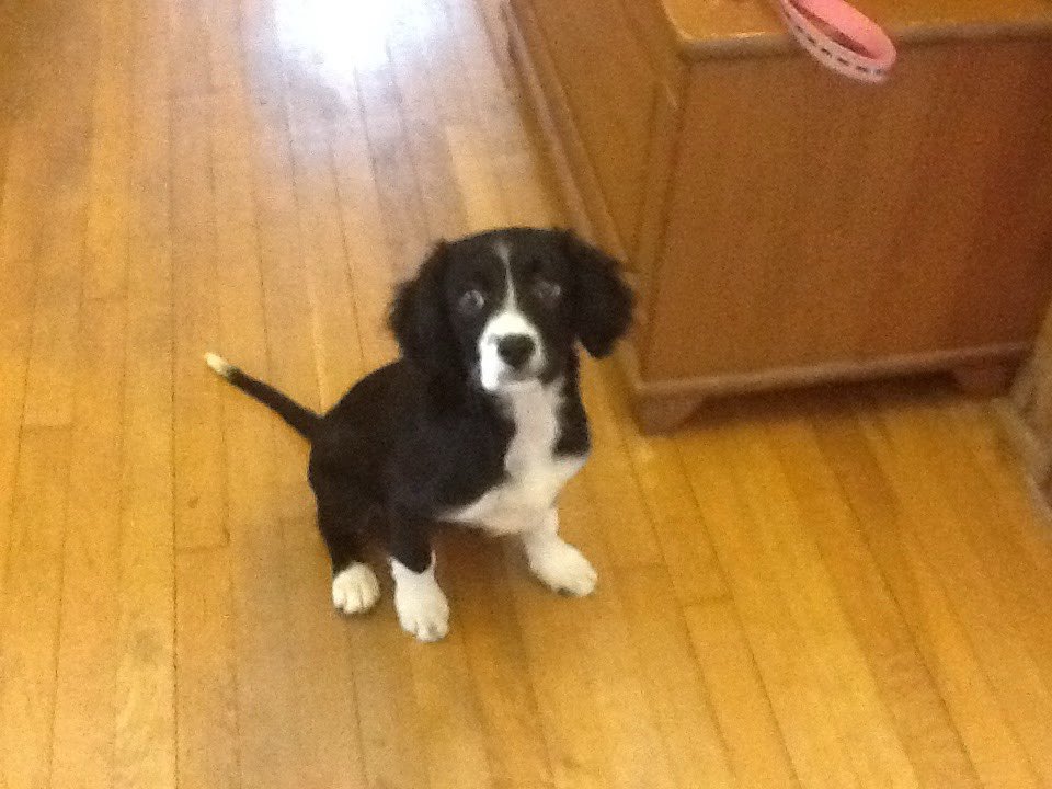 Patrick Chance 💙 🇫🇷 🇬🇧 tweet media