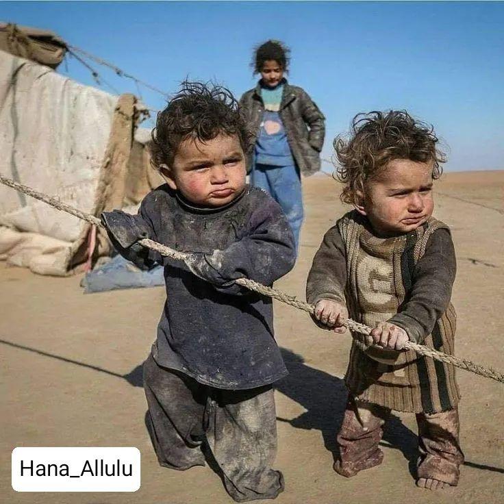 إن لم يتدخل أحد ، سيموت الكثير من الأطفال من شدة البرد.

برد غزة شديد وصعب! الخيمة قاتلة.