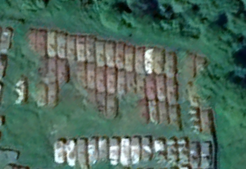 Just BeCause tweet media