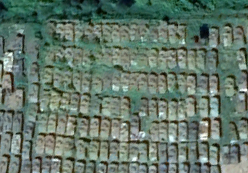 Just BeCause tweet media