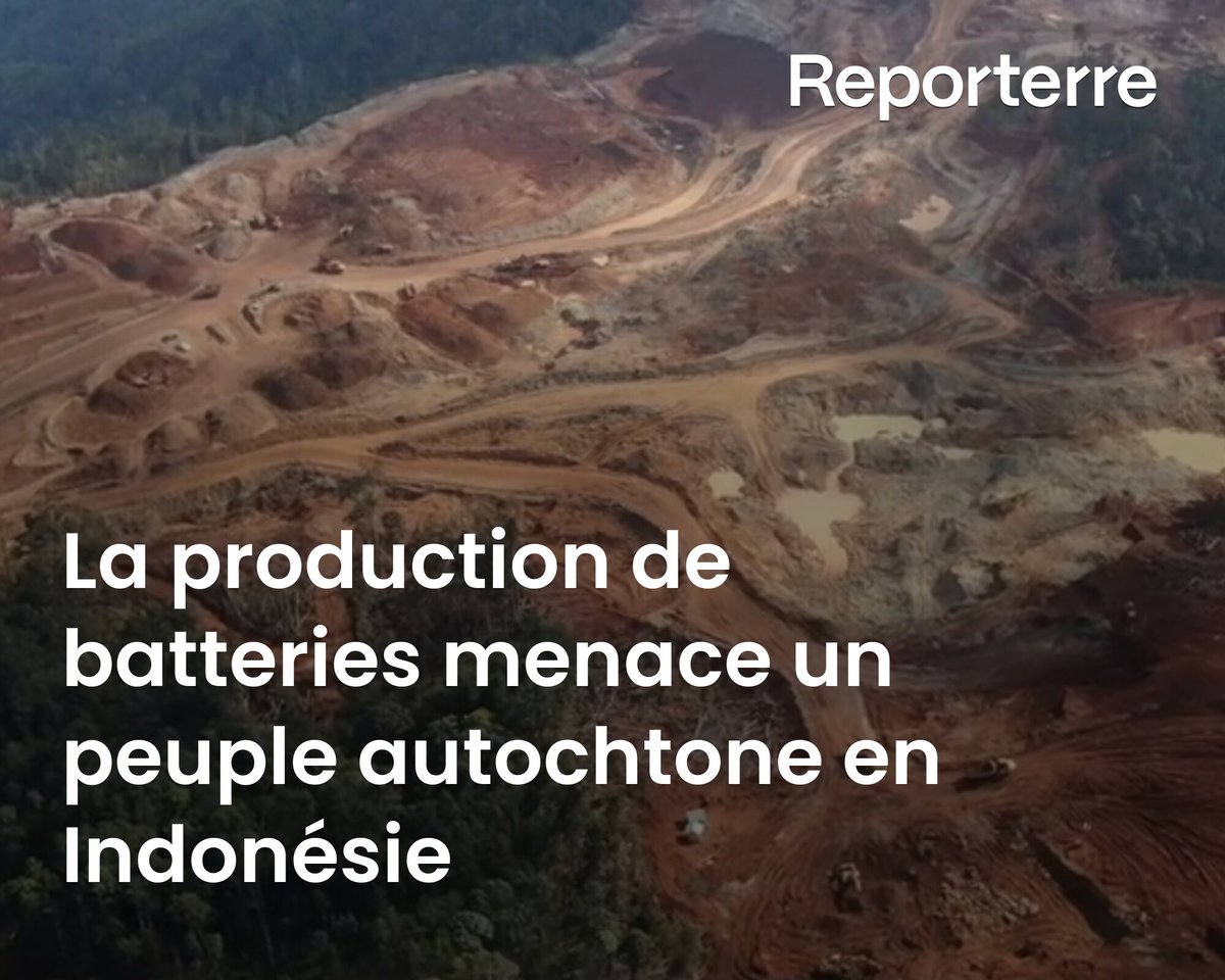 Reporterre's tweet photo. Les batteries de nos véhicules électriques conduiront-elles au génocide du peuple Hongana Manyawa ?

C’est ce que craint l’ONG Survival International dans un rapport publié le 22 novembre.

Lire l'article ➡️ https://t.co/INzqRy8vxU https://t.co/8AH9sQFbQS