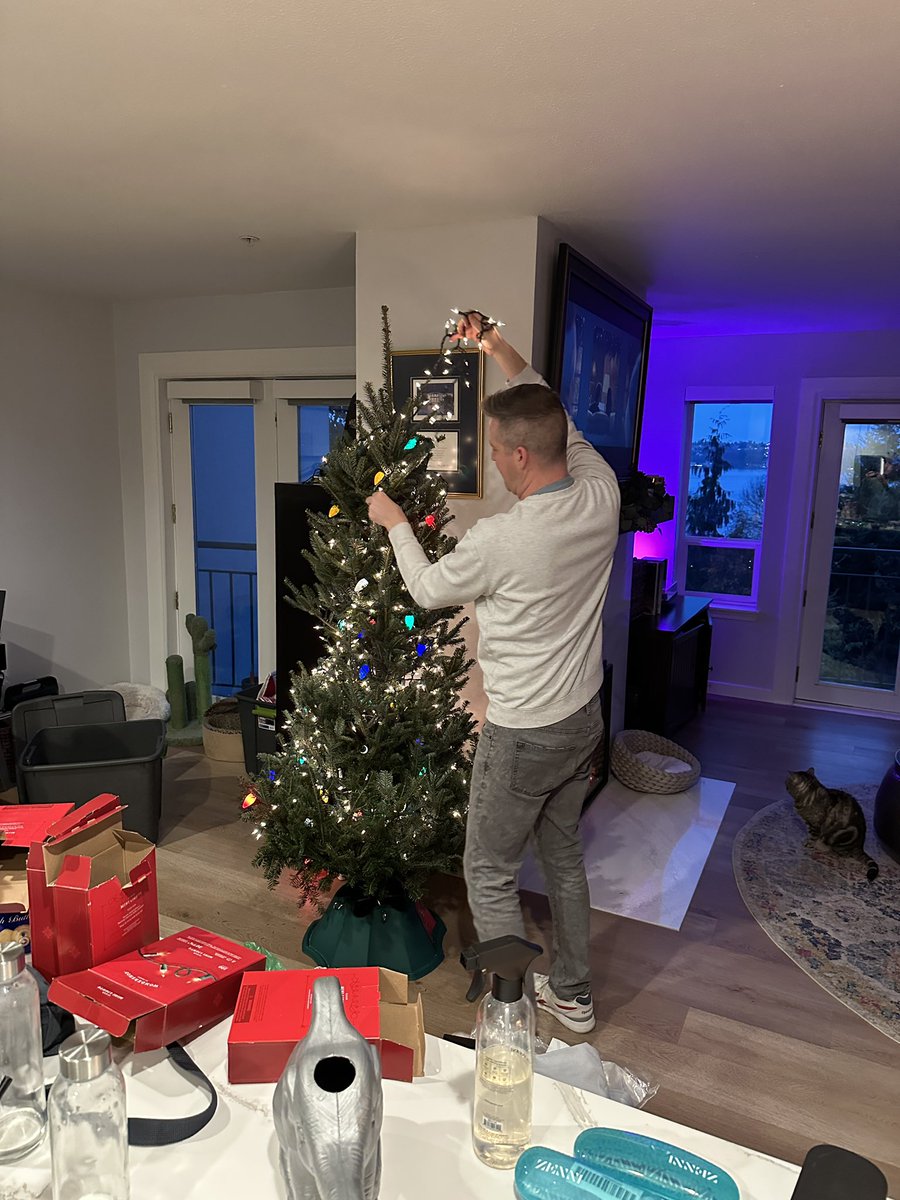 nickvisscher's tweet photo. The tree is up 🎄 https://t.co/qNGtjjVTjp