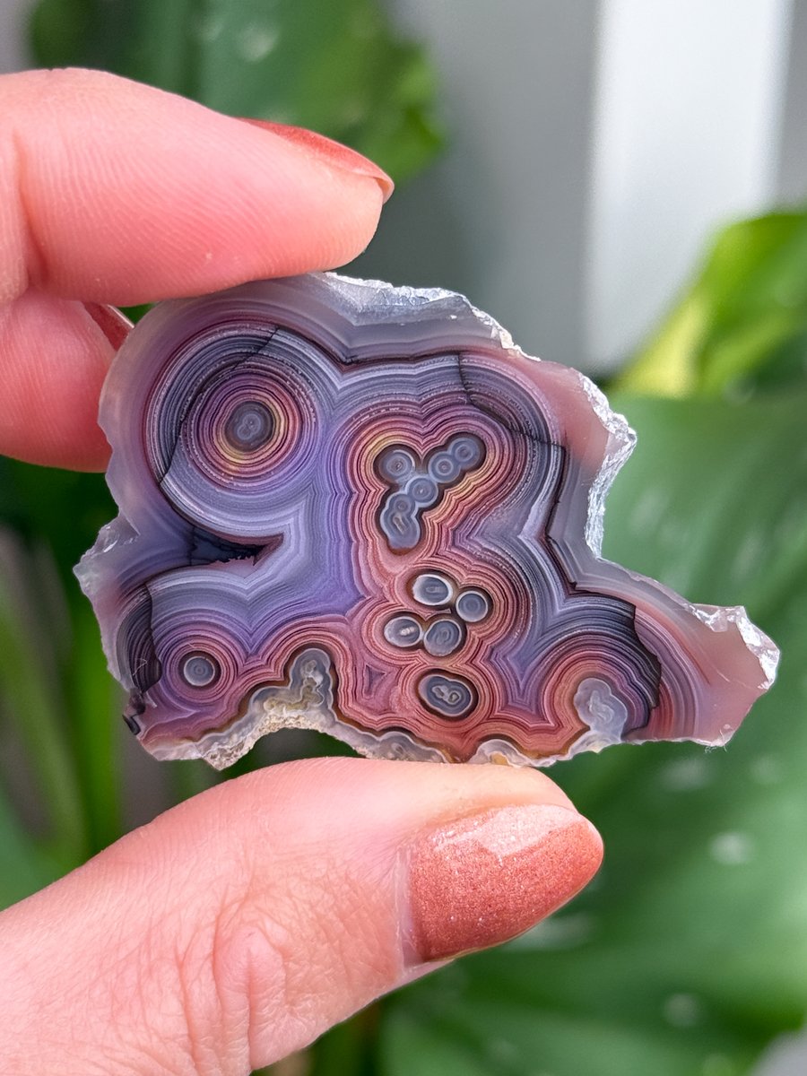 rocksforthe's tweet photo. Trippy Orbs in this Coyamito Agate 🌀

Available ✨