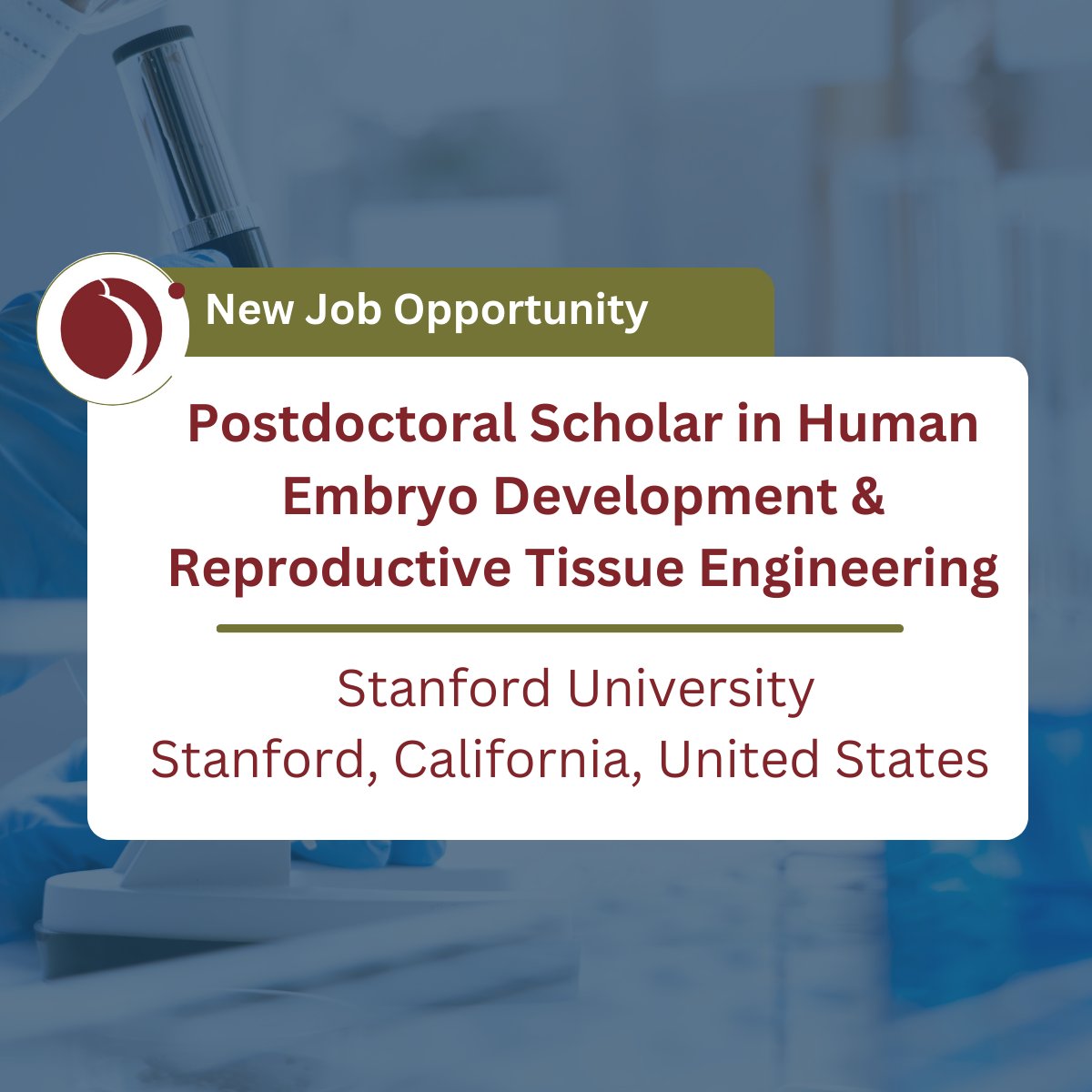 #JobAlert Stanford Univerity is hiring a Postdoctoral Scholar to lead a project on human embryo implantation, exploring cellular behavior, embryo-maternal interactions, and genetic factors using cutting-edge technologies. 
Learn more here: sri-online.org/sri-resources/…