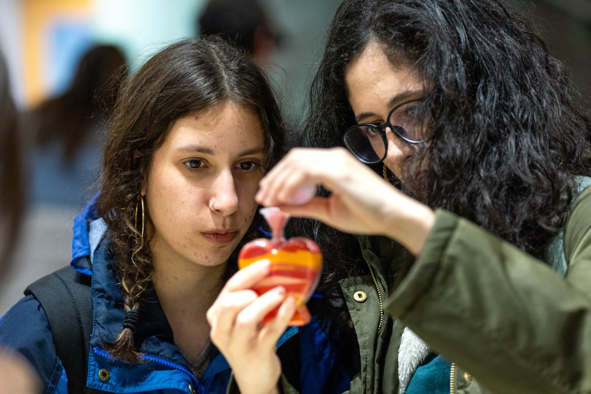 Brandeis University tweet media