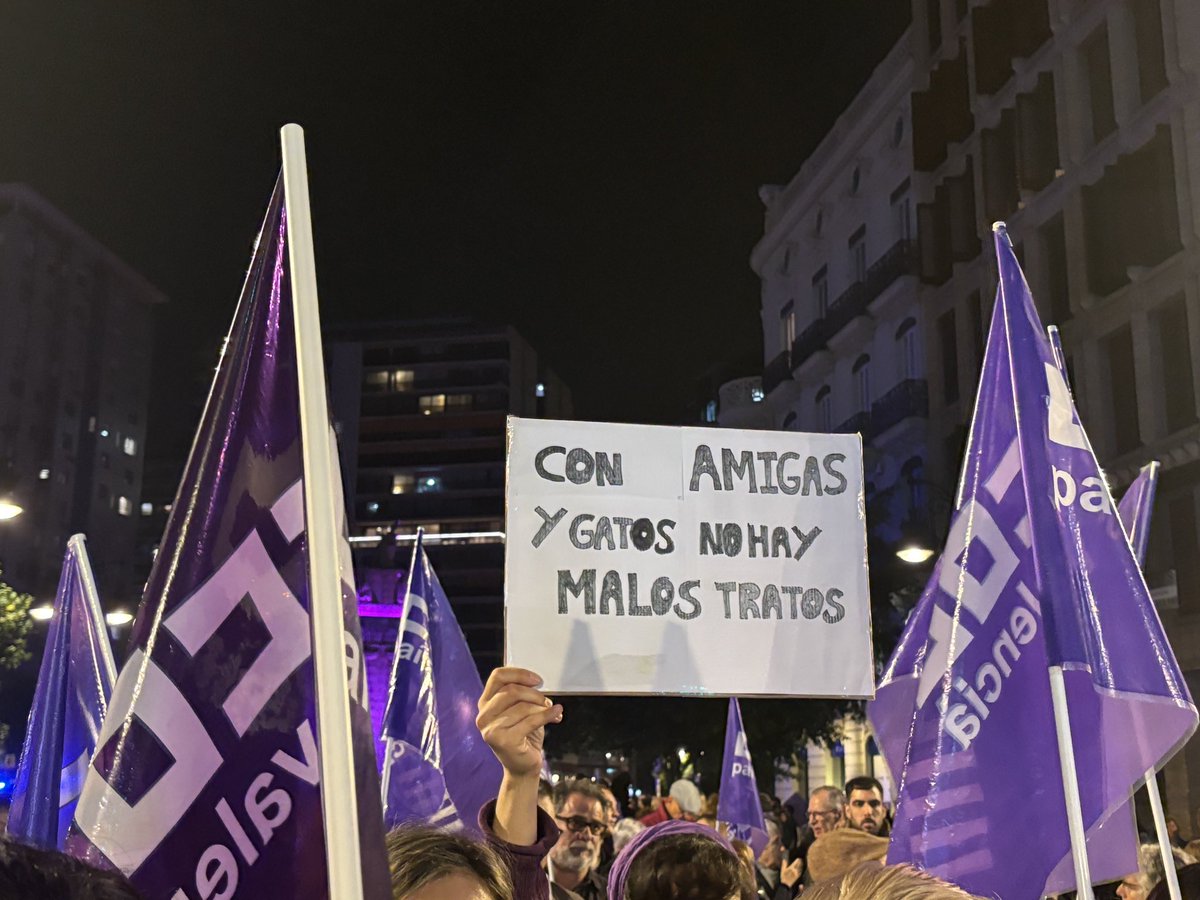 Sanitat_CCOOPV's tweet photo. No estem totes, falten les assassinades!
#PerTotes https://t.co/Uw1qqxUOaX