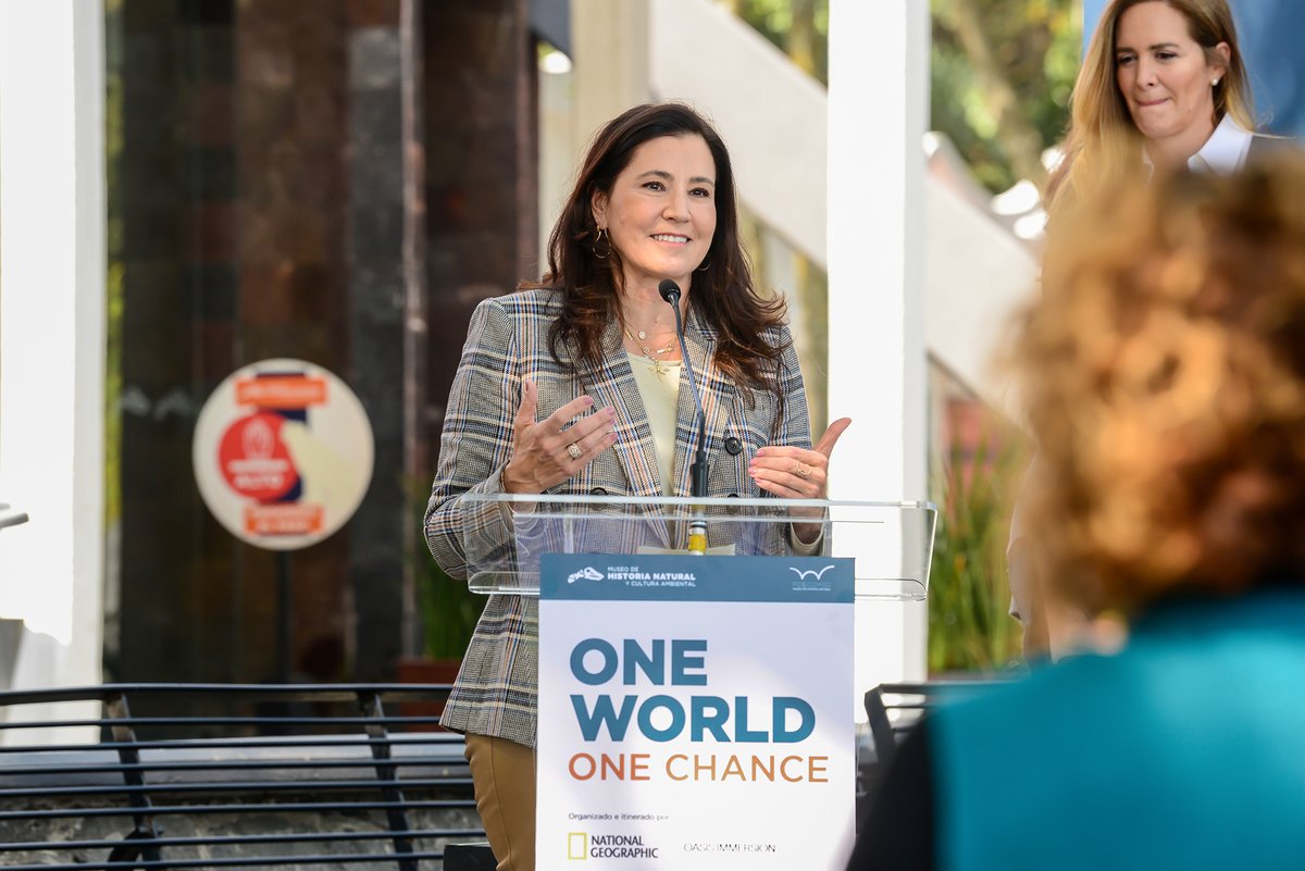 Fundación Televisa tweet media