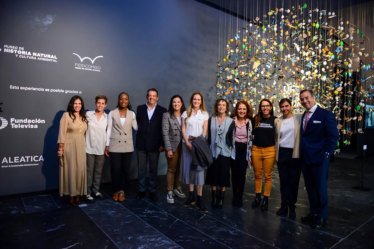 Fundación Televisa tweet media