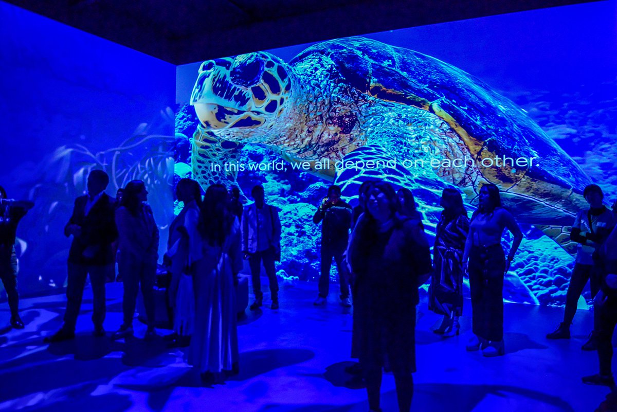 Fundación Televisa tweet media