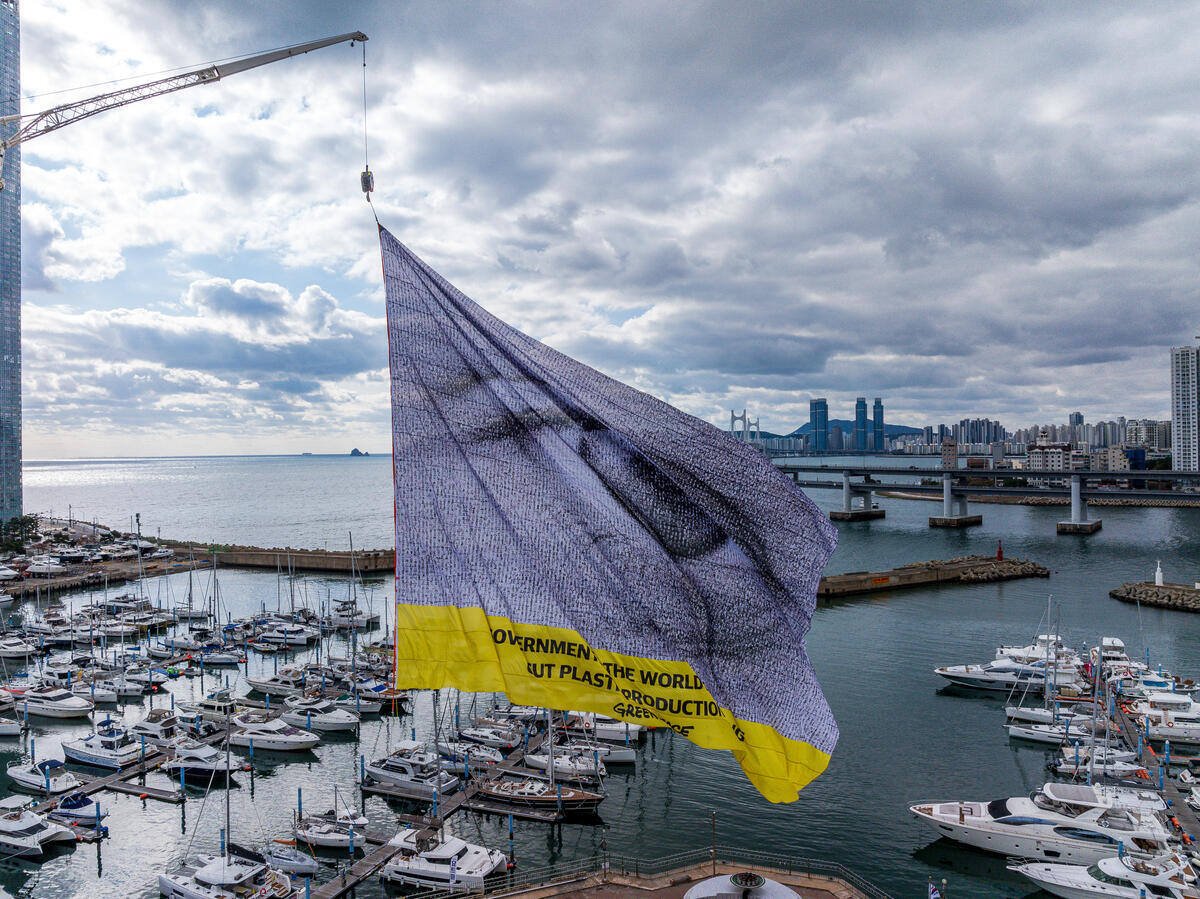greenpeaceQC's tweet photo. 👁 Ce n'est pas un secret : les leaders du monde et les lobbyistes des énergies fossiles ne veulent pas que vous sachiez ce qui se passe cette semaine.

@greenpeacekorea envoie un message aux gouvts. lors des négociations du #TraitéPlastiques: Le 🌏 vous observe! @s_guilbeault https://t.co/U941wxApkb