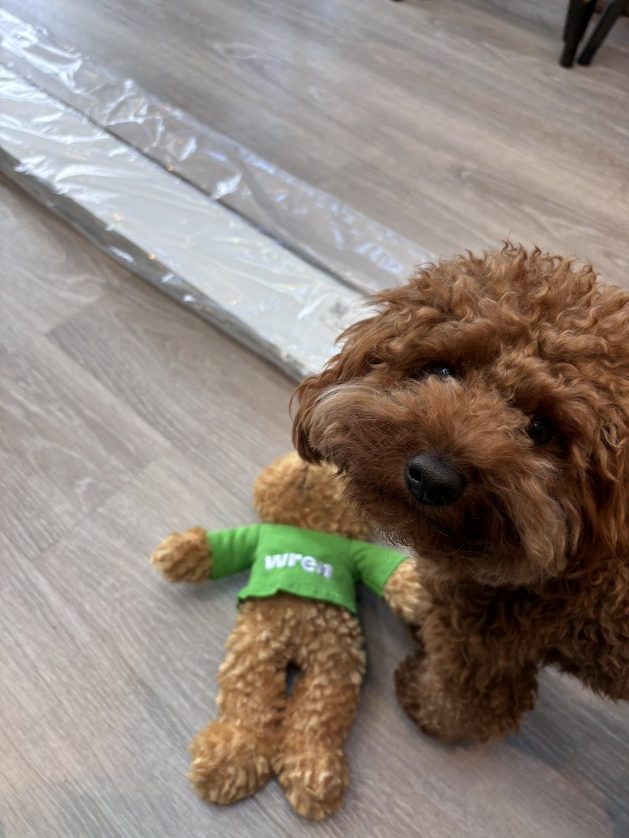 Nat_Black ©️ tweet media