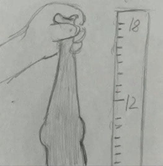 immerrattig's tweet photo. So kommen die 18 cm zustande 😂😂👍 https://t.co/UPeYqYyK4o
