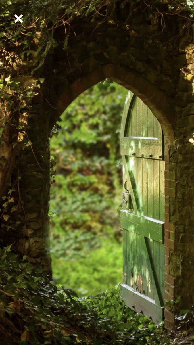 peacozy's tweet image. 