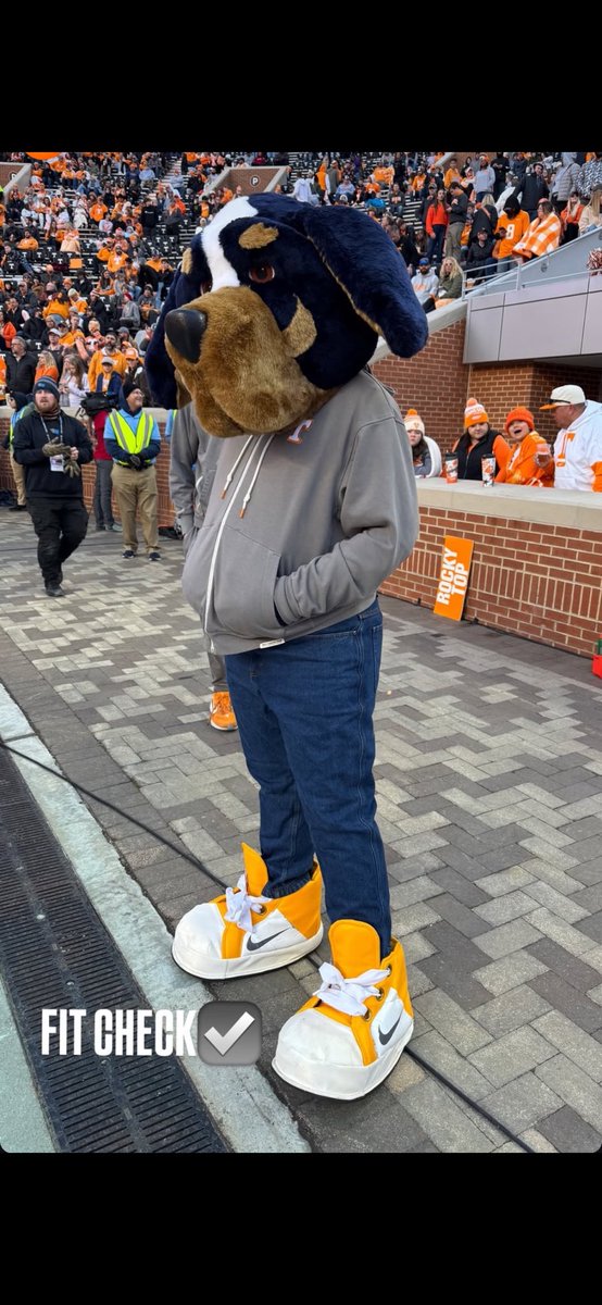 UTSmokey_00's tweet image. When basketball and football are both in the top-10…but I’m just a chill guy 😎 #GoVols