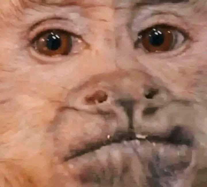 Cuando mi compañero me pide galletas y tengo que darle porque son de el: